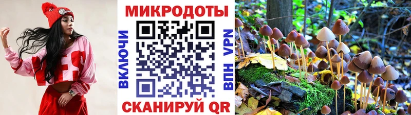 наркота  Холмск  Псилоцибиновые грибы GOLDEN TEACHER 